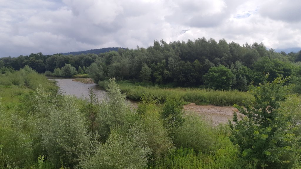 photo16.jpg