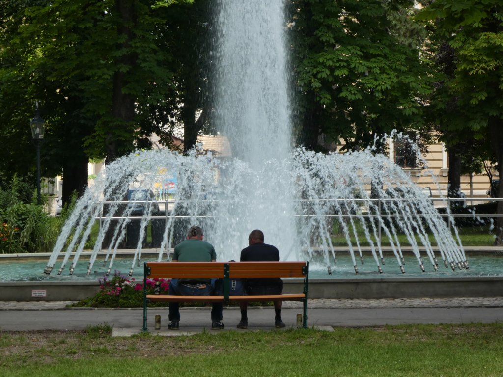 photo36.jpg
