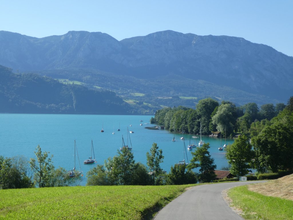 photo12.jpg