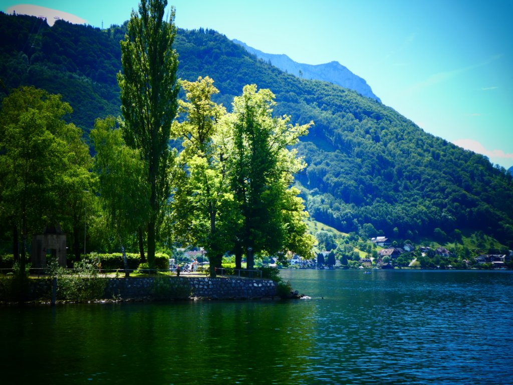 photo45.jpg