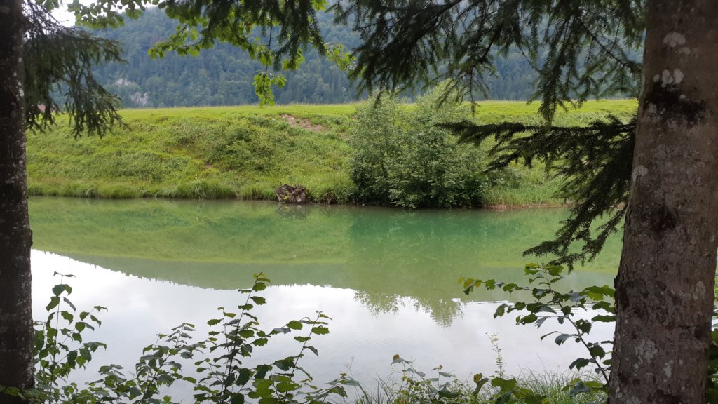 photo38.jpg