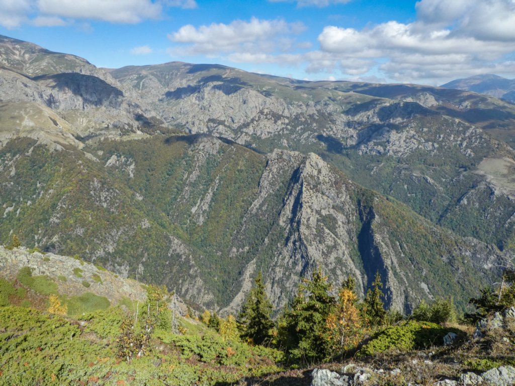 photo15.jpg