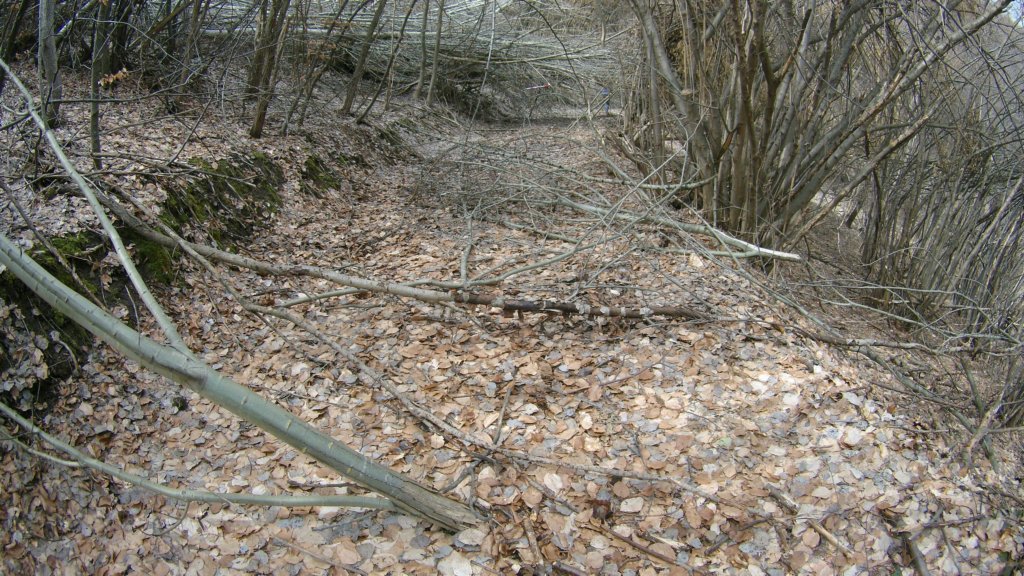 photo19.jpg