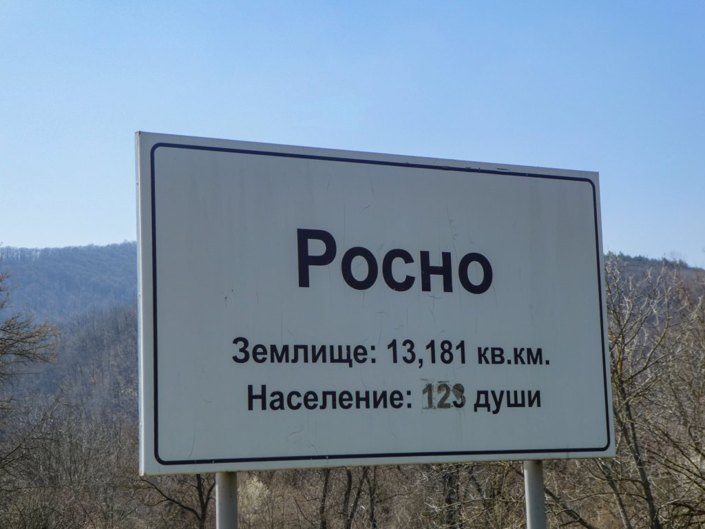 photo4.jpg