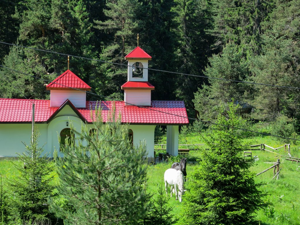 photo2.jpg