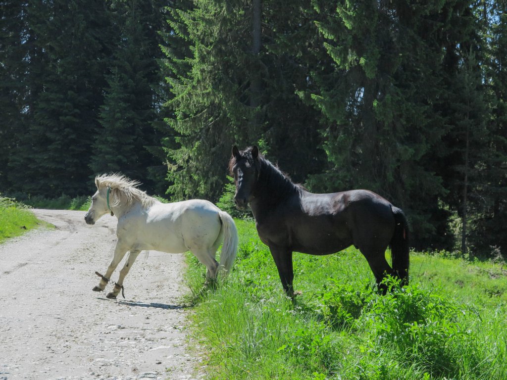 photo4.jpg