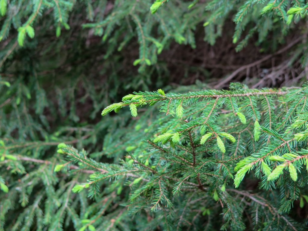photo51.jpg