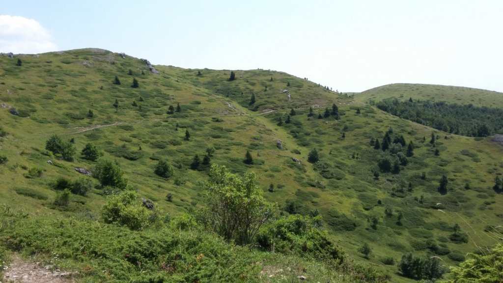 photo26.jpg