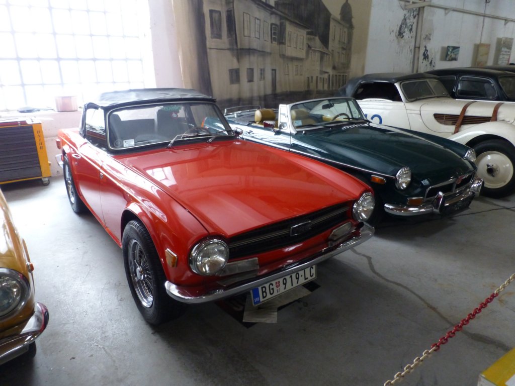 photo21.jpg