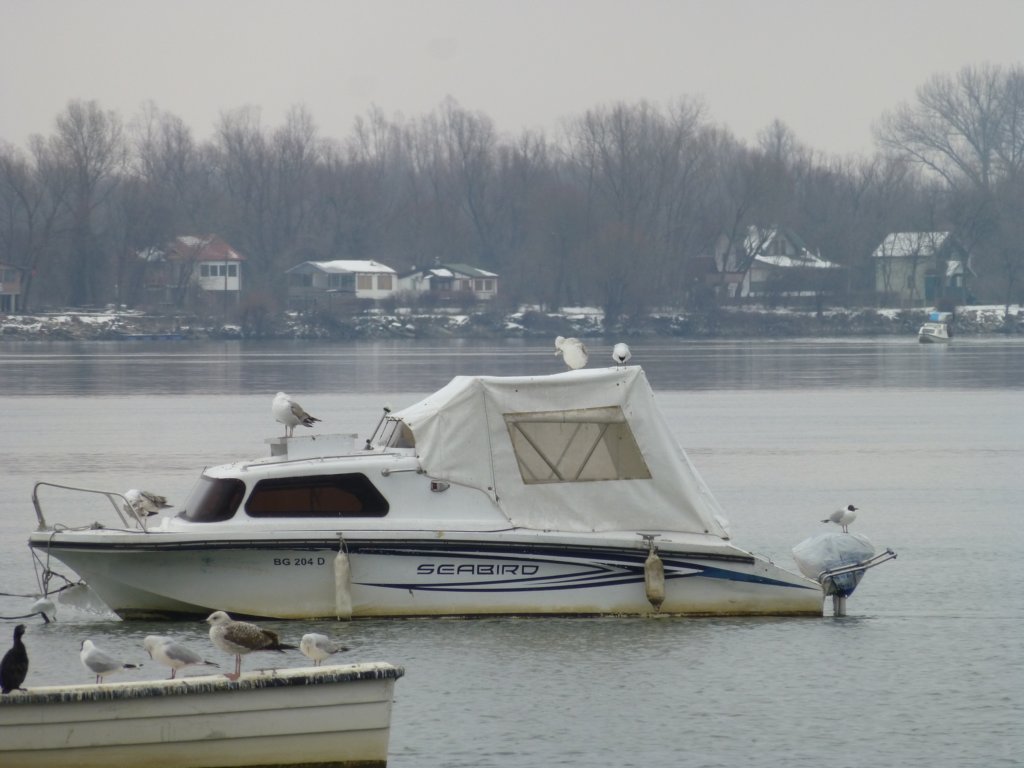 photo19.jpg