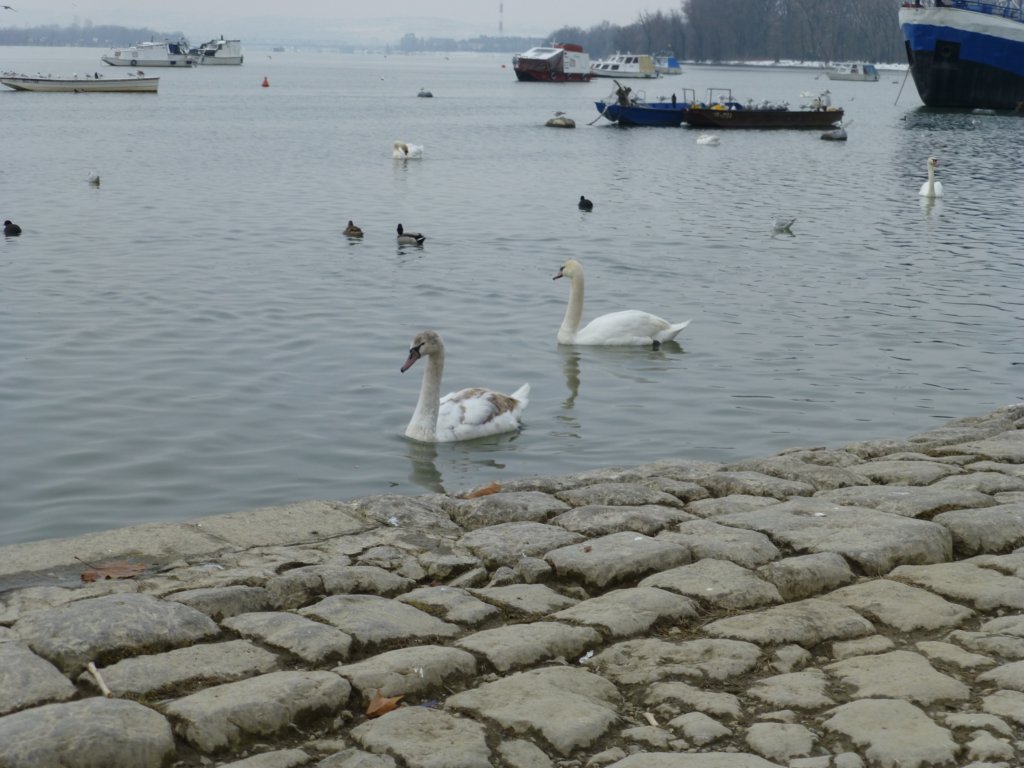 photo6.jpg