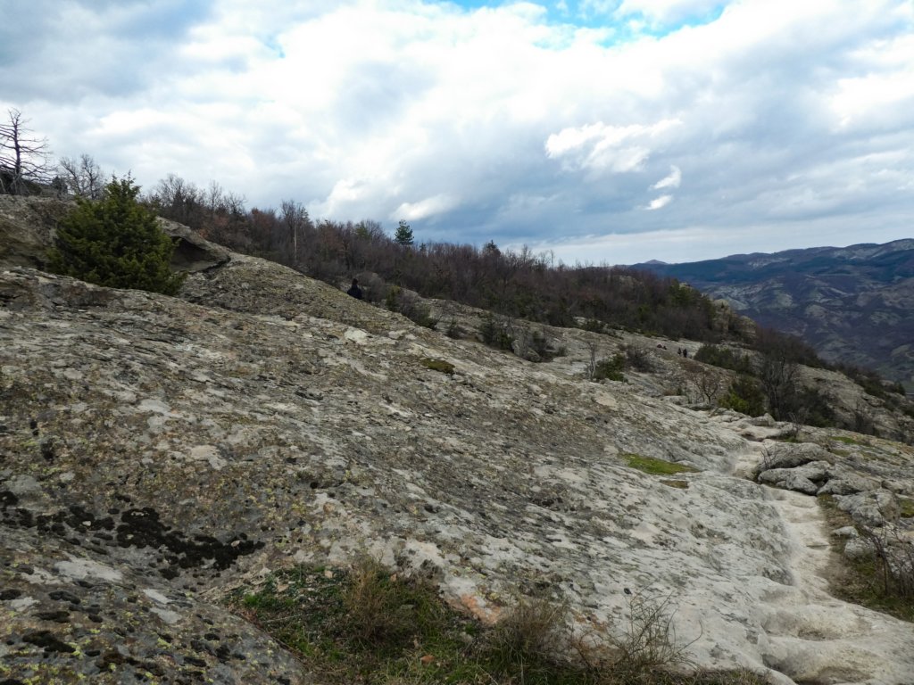 photo86.jpg