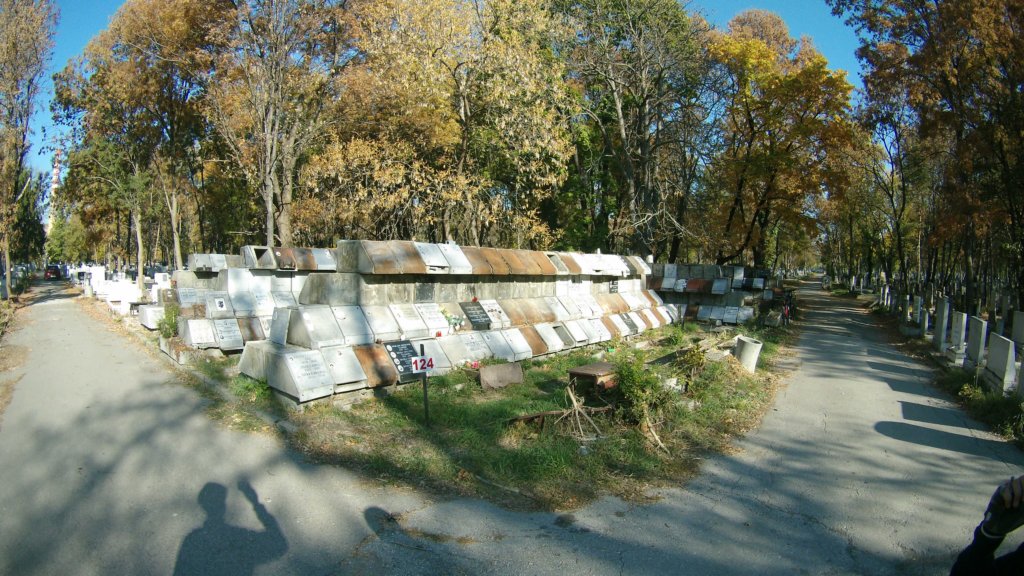 photo9.jpg
