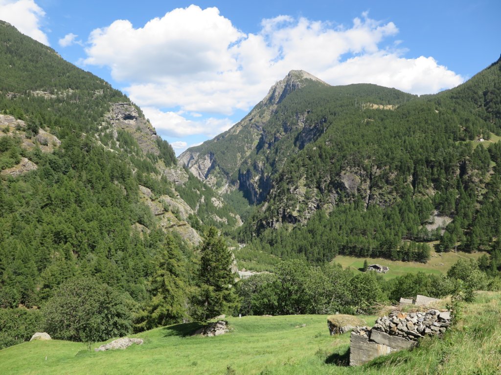 simplon12.jpg