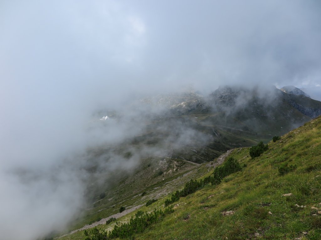 photo29.jpg