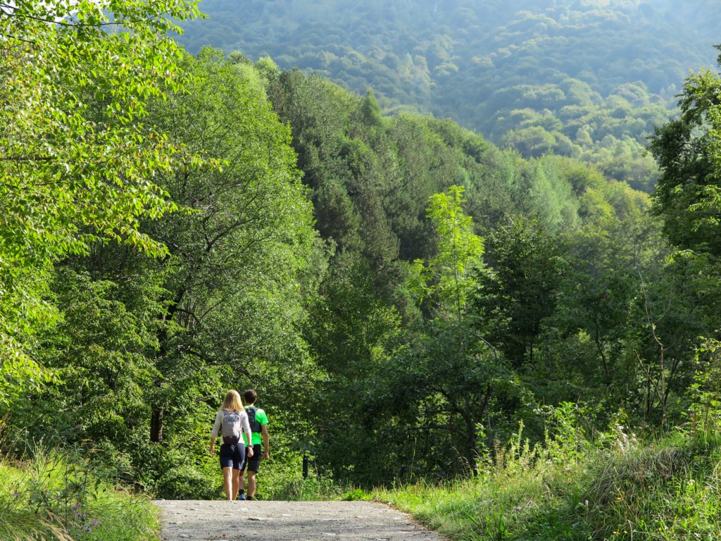 photo3.jpg