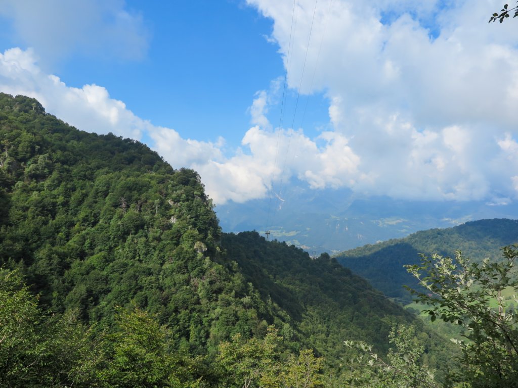 photo6.jpg