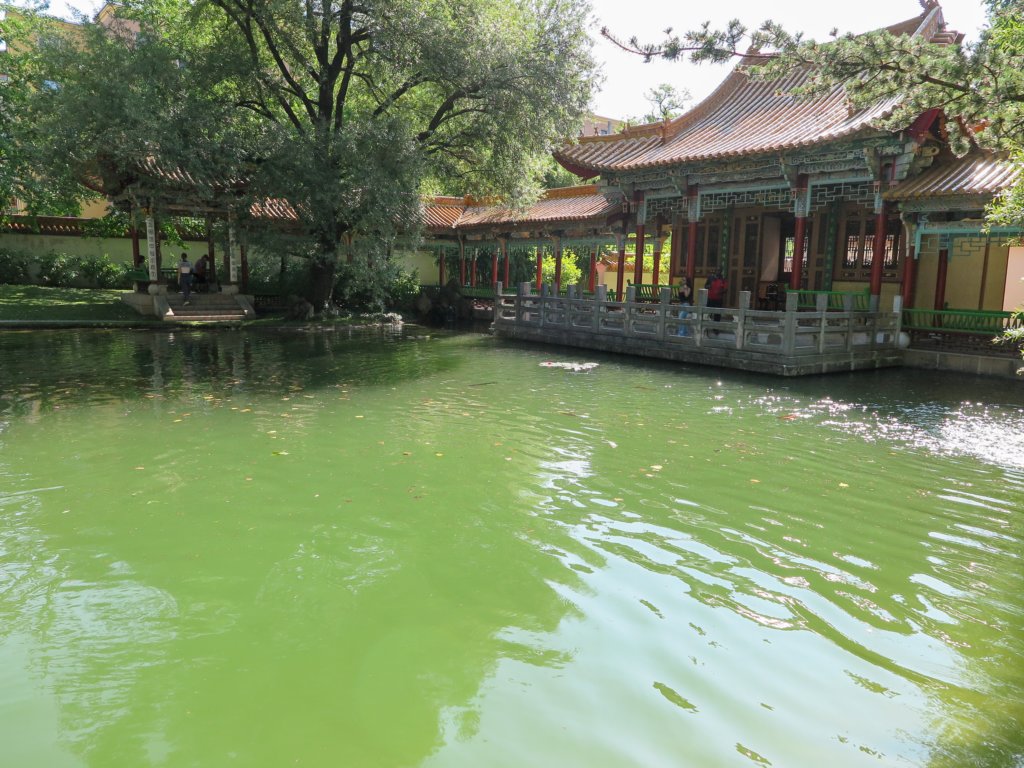 photo40.jpg