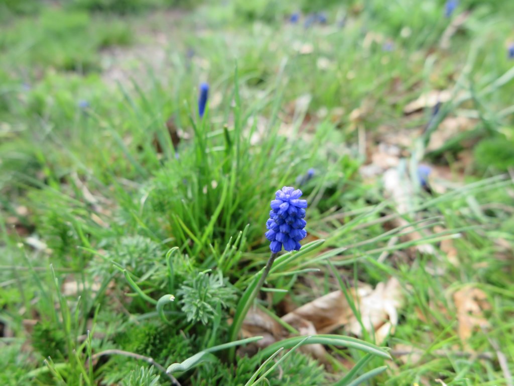 photo27.jpg