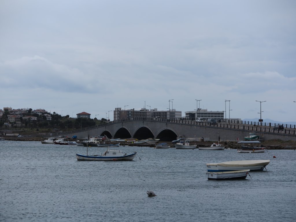 photo12.jpg