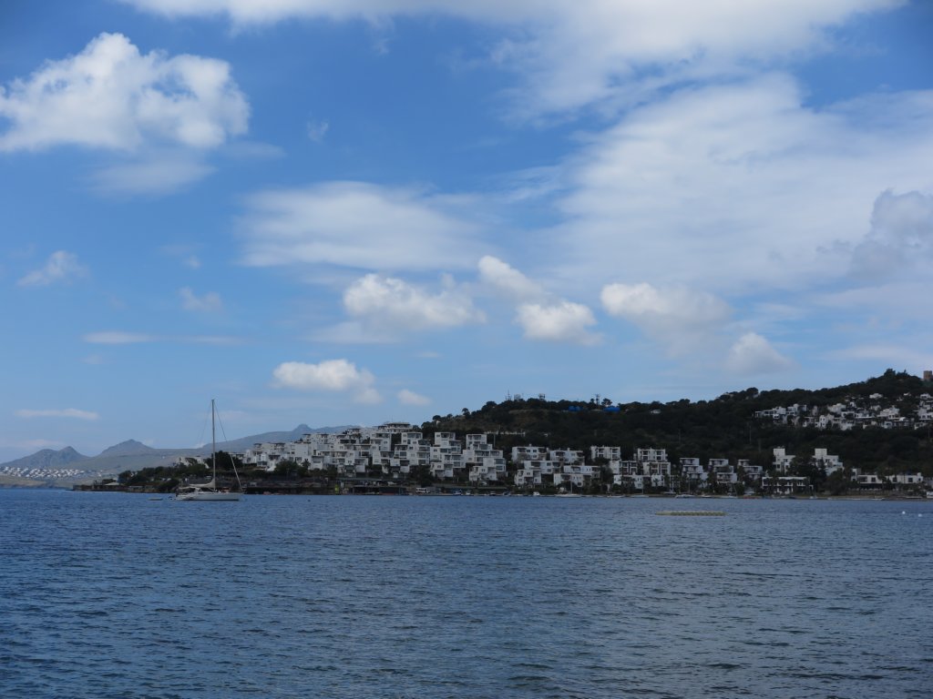 photo47.jpg