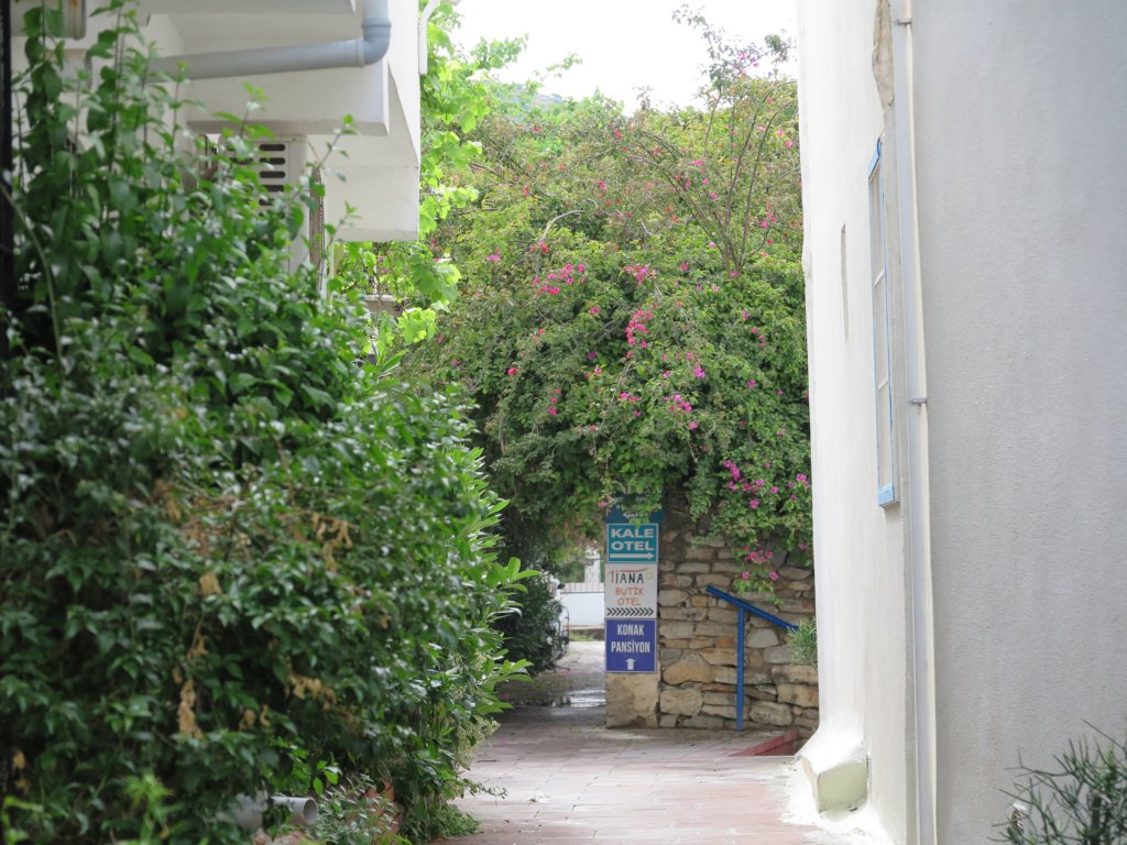 photo7.jpg