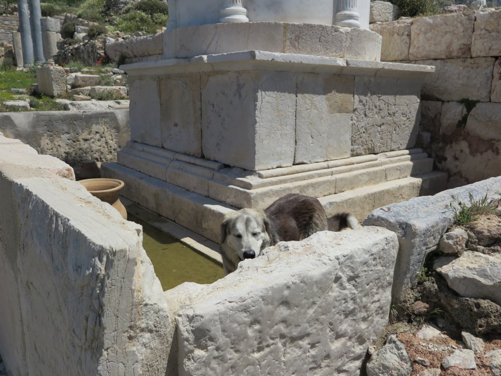 photo20.jpg