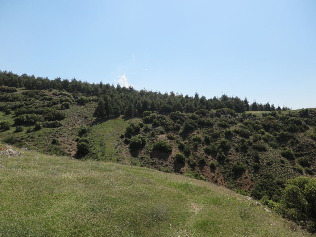 photo37.jpg
