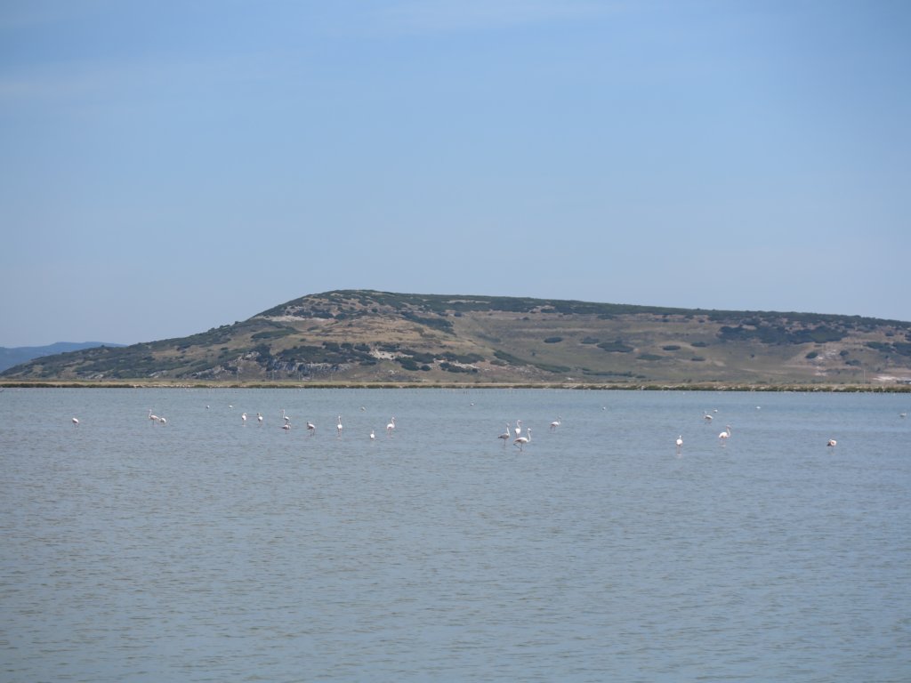 photo13.jpg