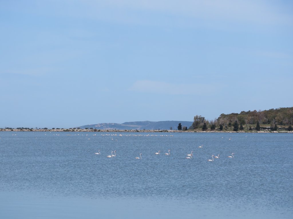 photo14.jpg