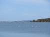 photo14_small.jpg