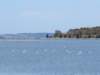 photo15_small.jpg