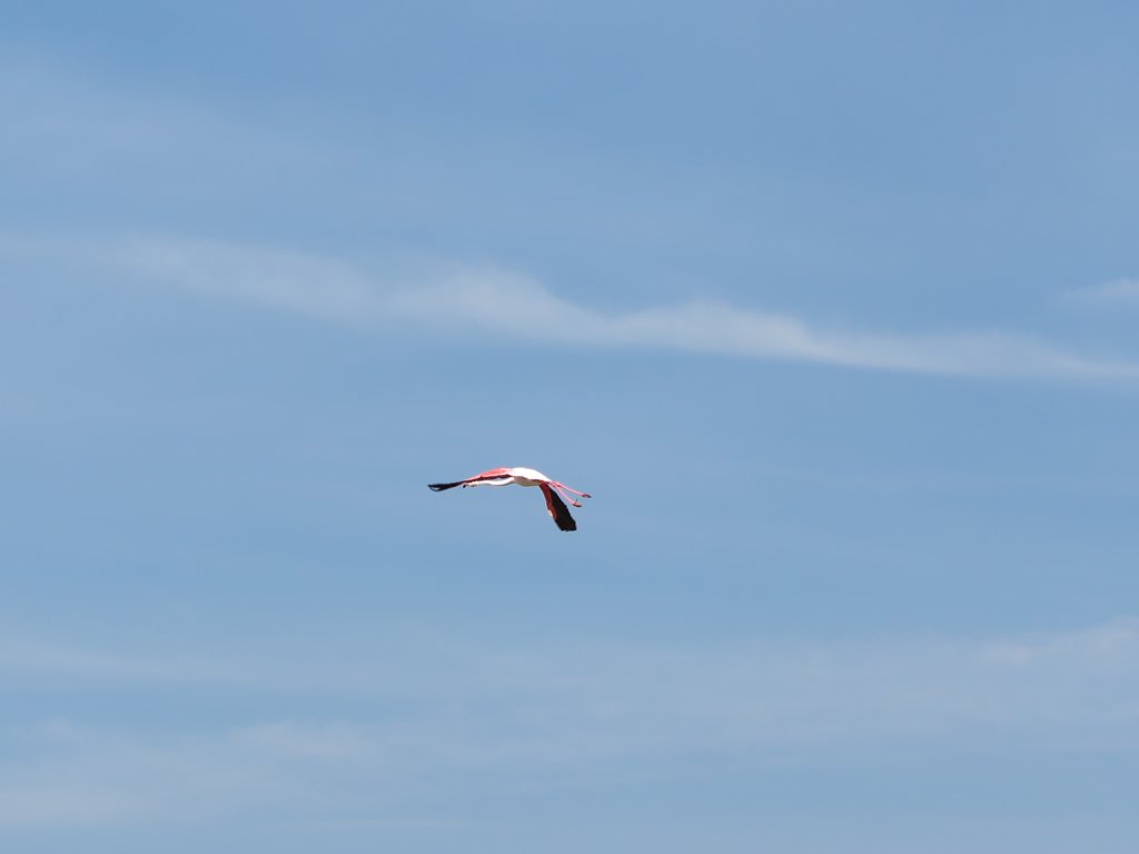 photo22.jpg