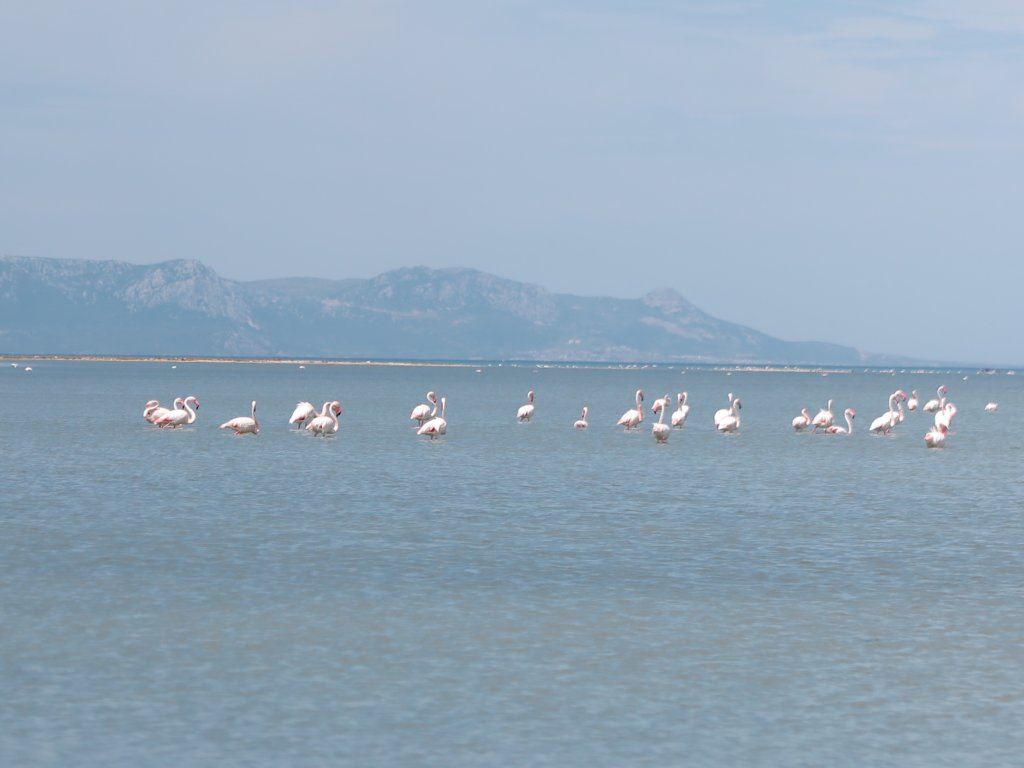 photo23.jpg