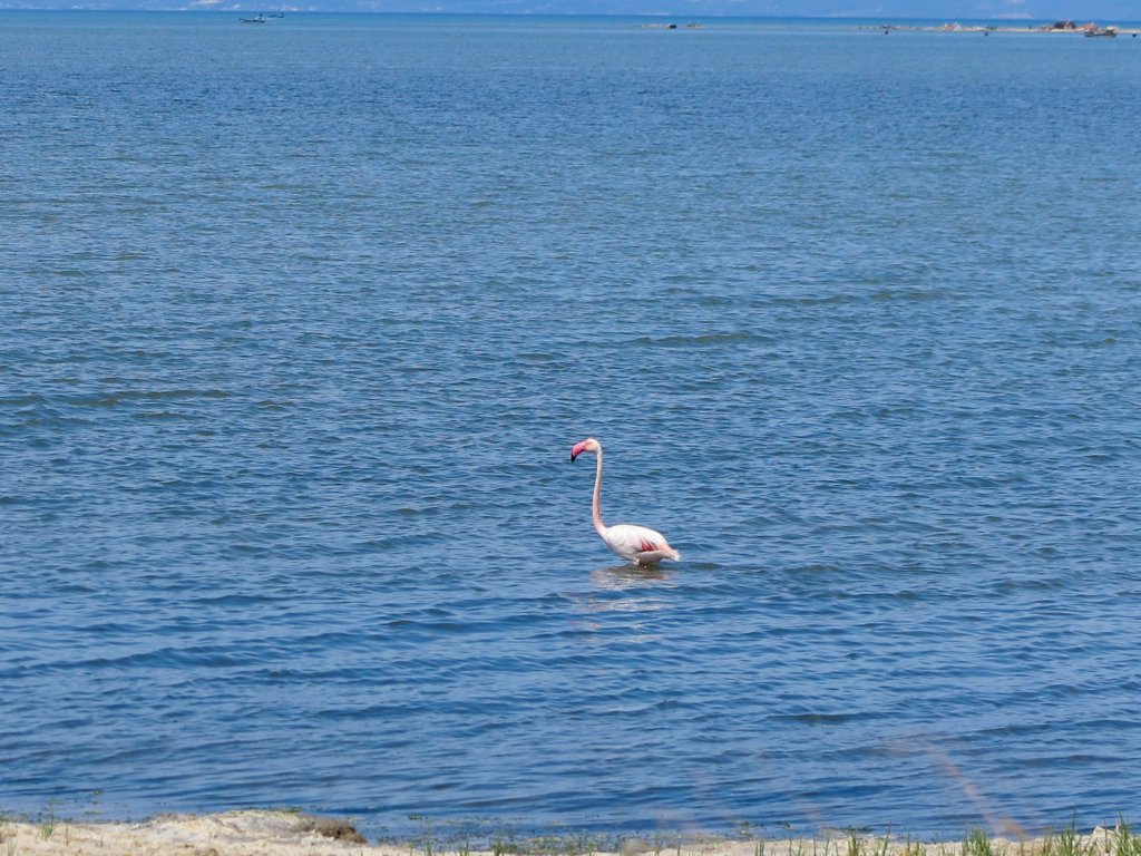 photo27.jpg