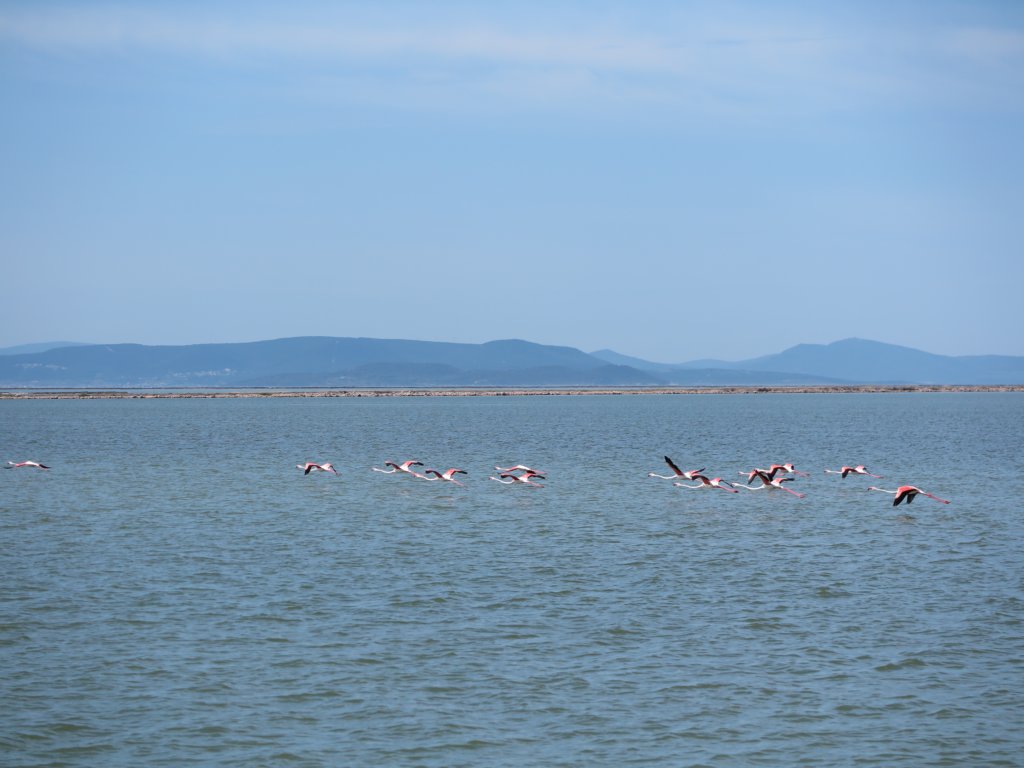 photo9.jpg