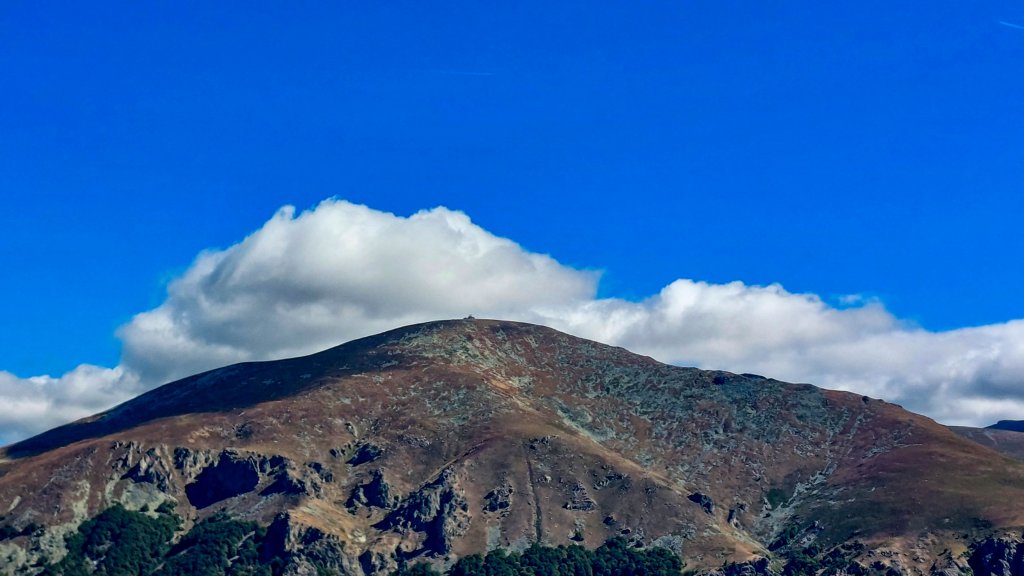 photo7.jpg