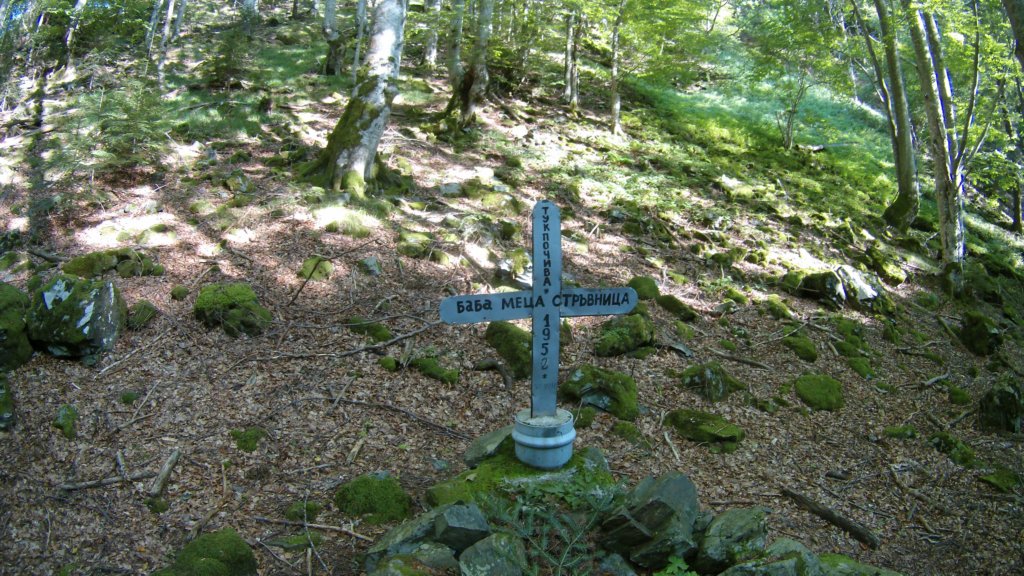photo162.jpg
