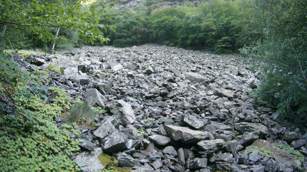 photo168.jpg