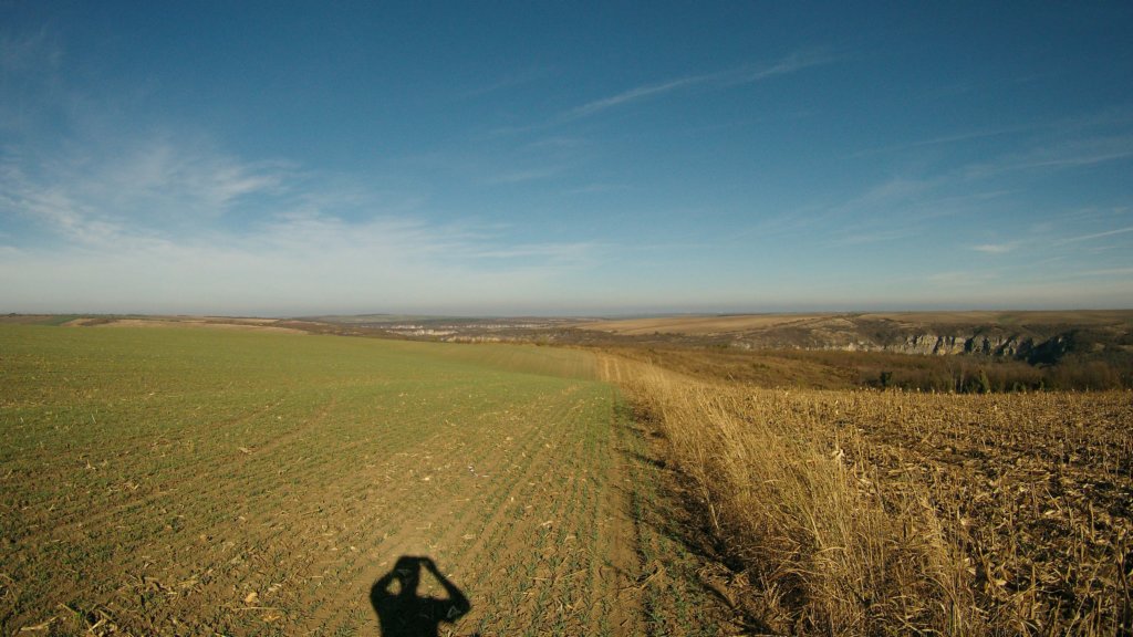 photo33.jpg