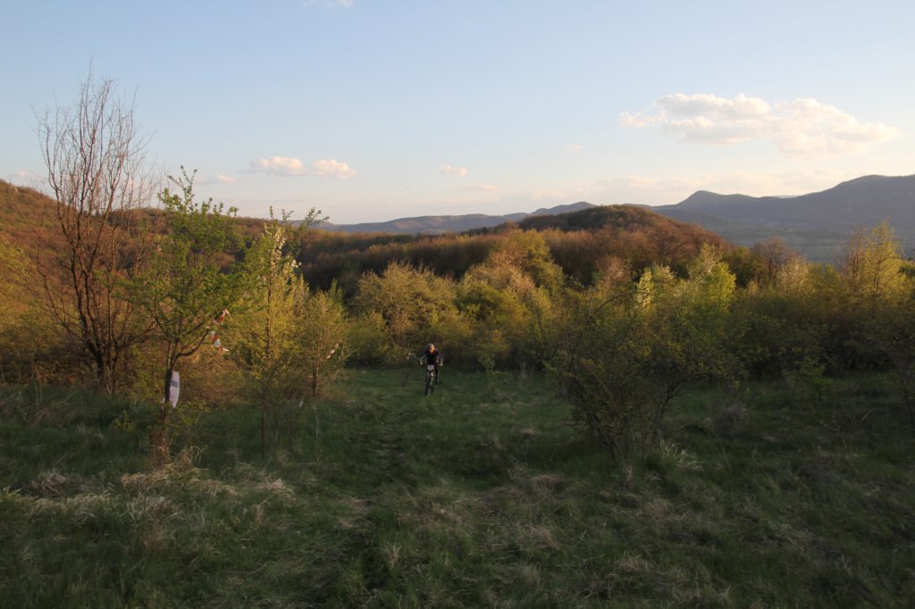 photo141.jpg