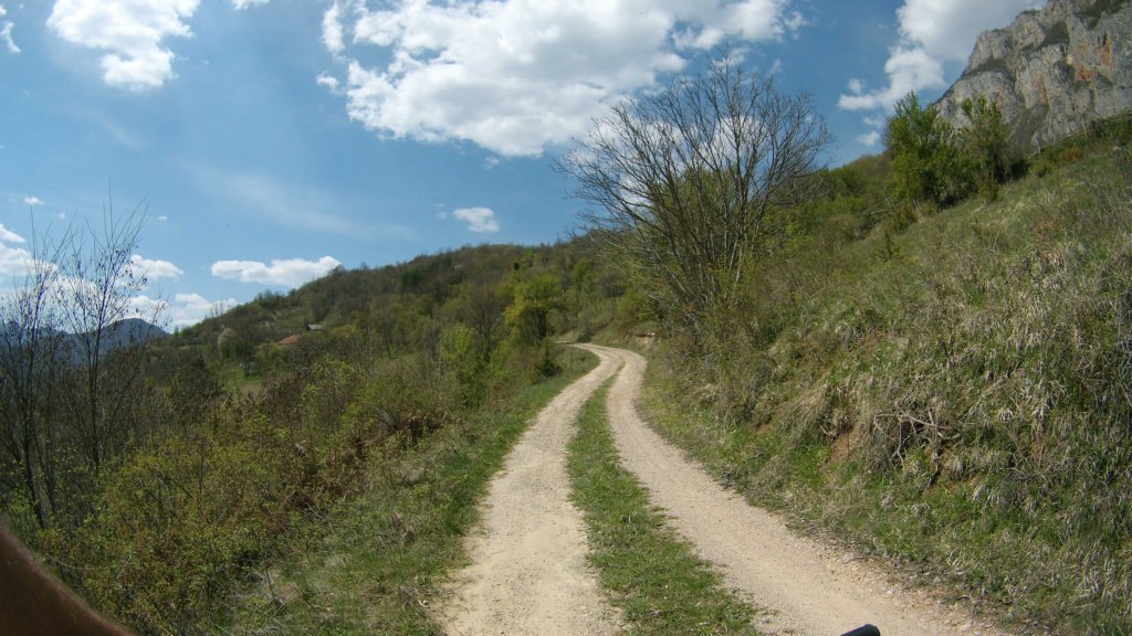 photo77.jpg