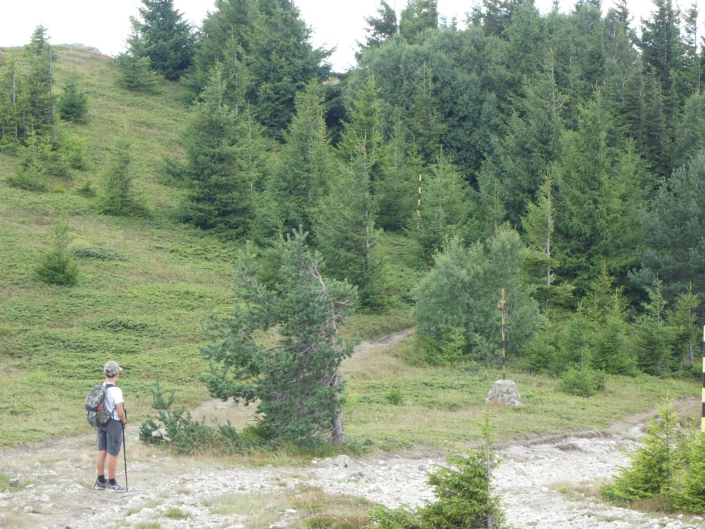 photo51.jpg