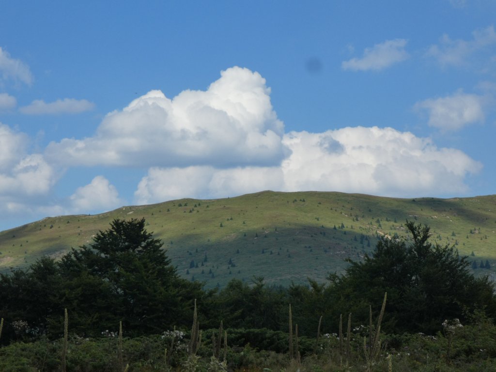 photo67.jpg