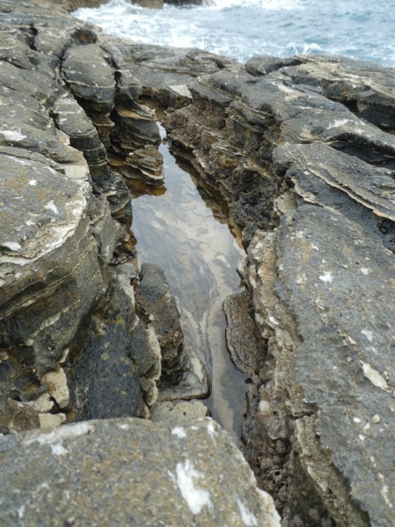 photo90.jpg