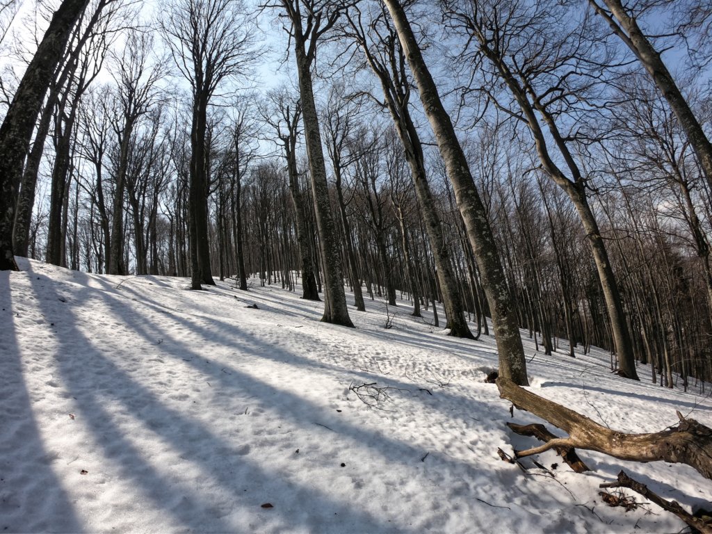 photo14.jpg
