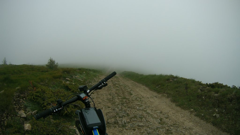 photo14.jpg