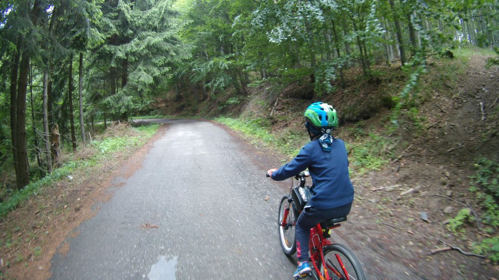 photo42.jpg