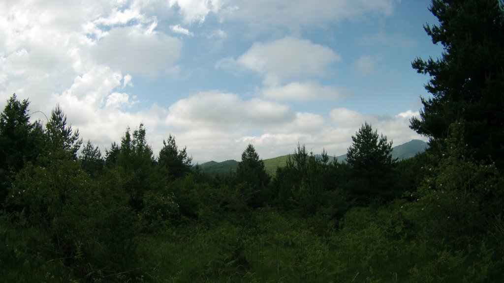 photo64.jpg