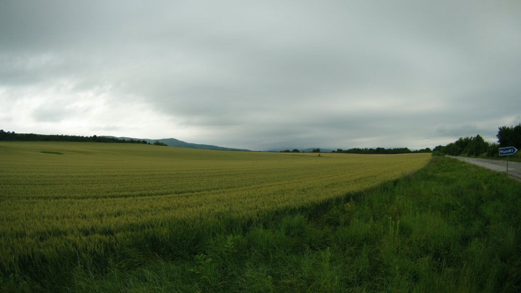 photo74.jpg